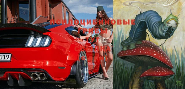 прущая мука Алексин