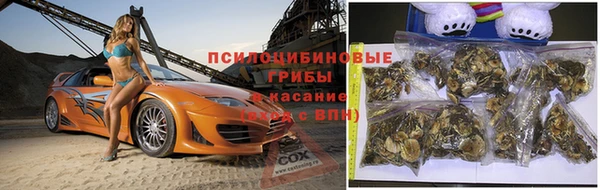 прущая мука Алексин